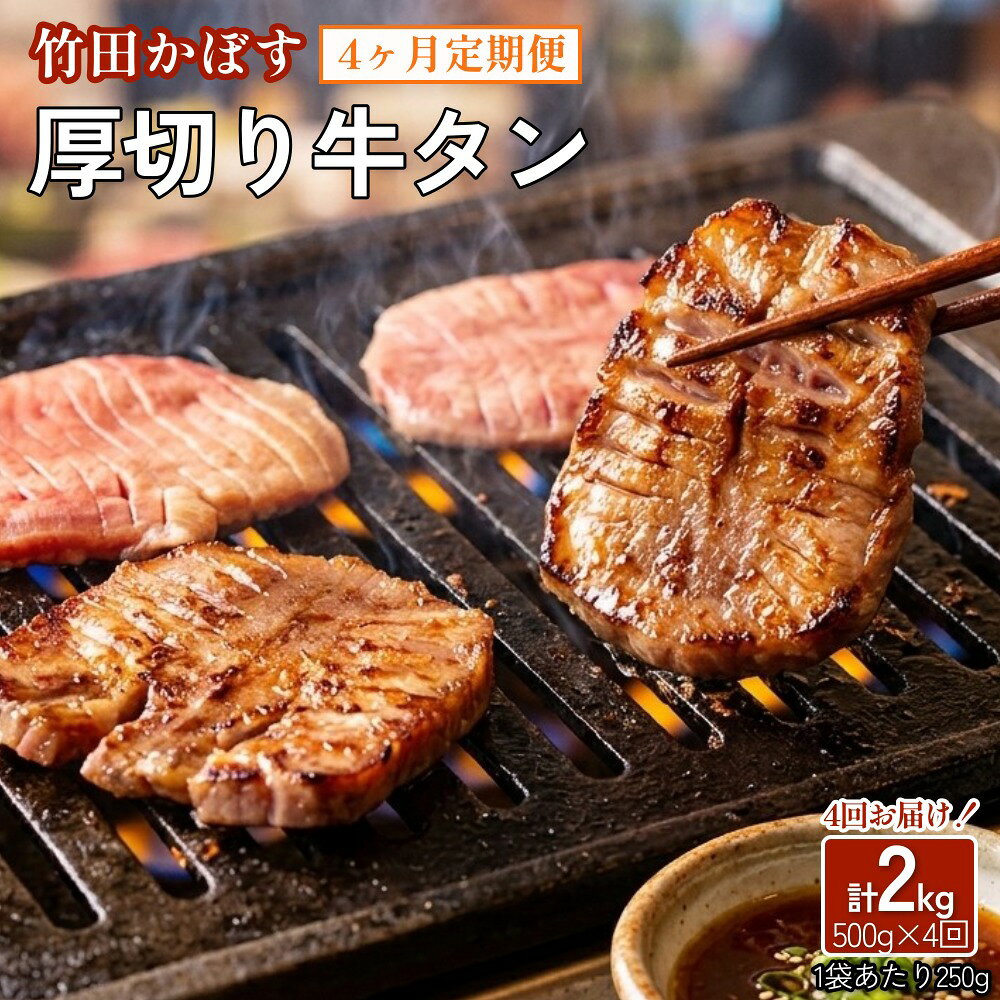 【ふるさと納税】【4ヶ月定期便】竹田かぼす 厚切り牛タン 250g×2パック （約500g） 小分け 500g×4回