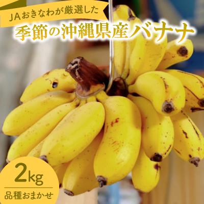 ふるさと納税 中城村 JAおきなわが厳選した季節の沖縄県産バナナ 2kg(旬の品種おまかせ)