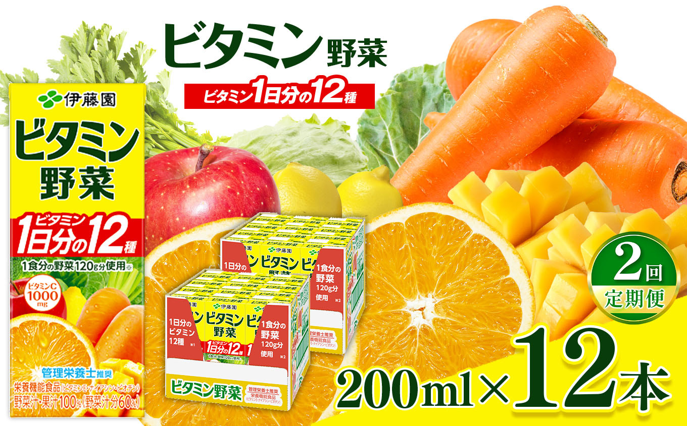 
            【定期便2回】紙ビタミン野菜200ml  12本入り 伊藤園   | 野菜 フルーツ ジュース ドリンク 飲料 健康 食品 砂糖 食塩 不使用 長期常温可能 1ケース 長野県 松本市 ふるさと納税
          