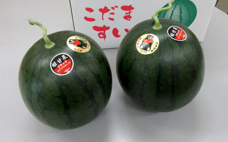 【2026年発送分&nbsp;先行予約】【数量限定】【全3回定期便】 すいか 3種 食べ比べ セット 定期便 計5玉（小玉2 大玉1 黒小玉2） スイカ[AYAB030]