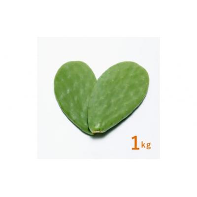 ふるさと納税 春日井市 あなたのカメに、自然のごちそうを。食べるサボテン「かめはめ葉」(1kg) |  | 01