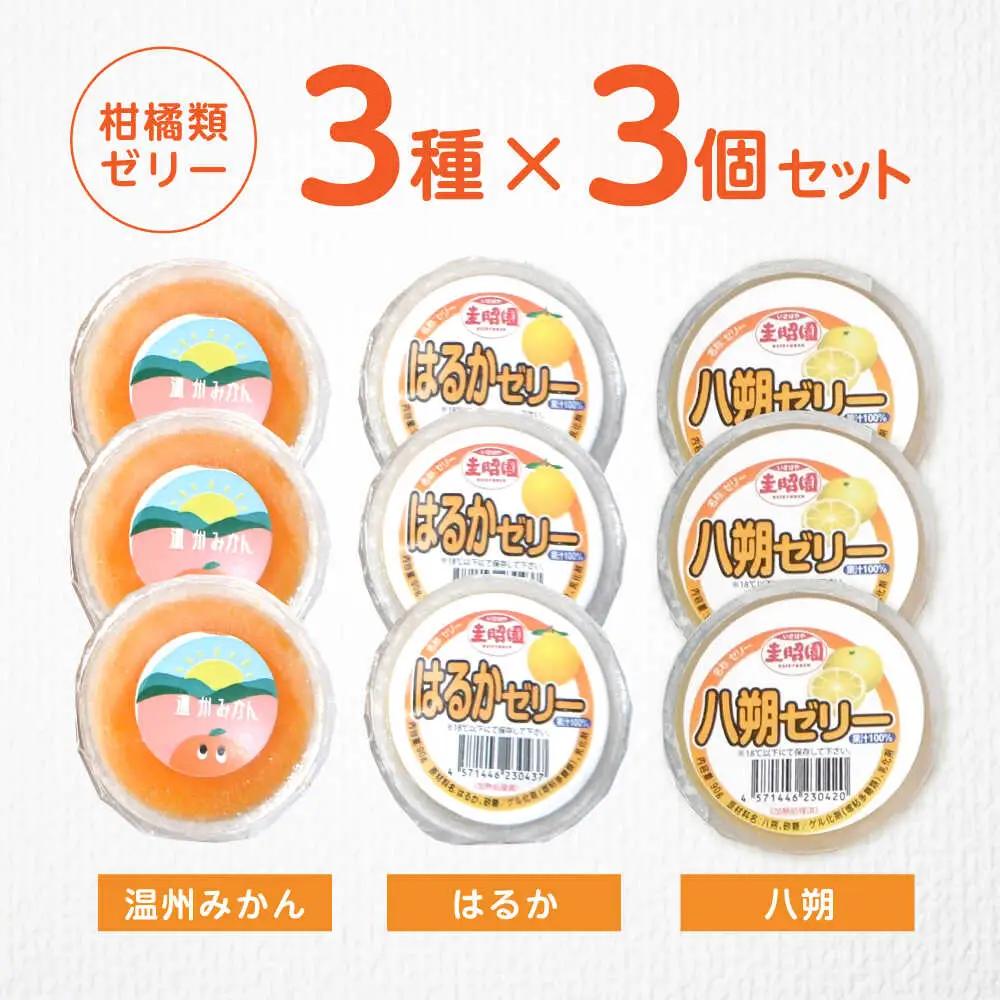 柑橘スムージーゼリー (3個×3種) 9個セット / ゼリー ぜりー 果汁ゼリー 柑橘 八朔 温州みかん はるか / 諫早市 / 圭昭園　[AHAZ012]