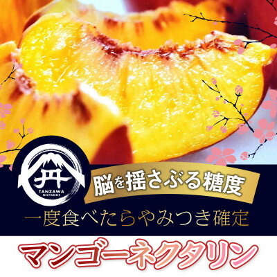 【ふるさと納税】【果汁溢れるクセになる新感覚】マンゴーネクタリンやみつきリピーター続出中2026年7月下旬より発送【配送不可地域：離島・北海道・沖縄県・中国・四国・九州】【1468753】