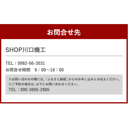 体験 ウェイクサーフィン 1時間 [SHOP川口機工 宮崎県 美郷町 31bj0011] アクティビティ 船 貸し切り 貸切 夏 スポーツ体験 スポーツ コース マリンスポーツ 利用券 利用権 宮崎県