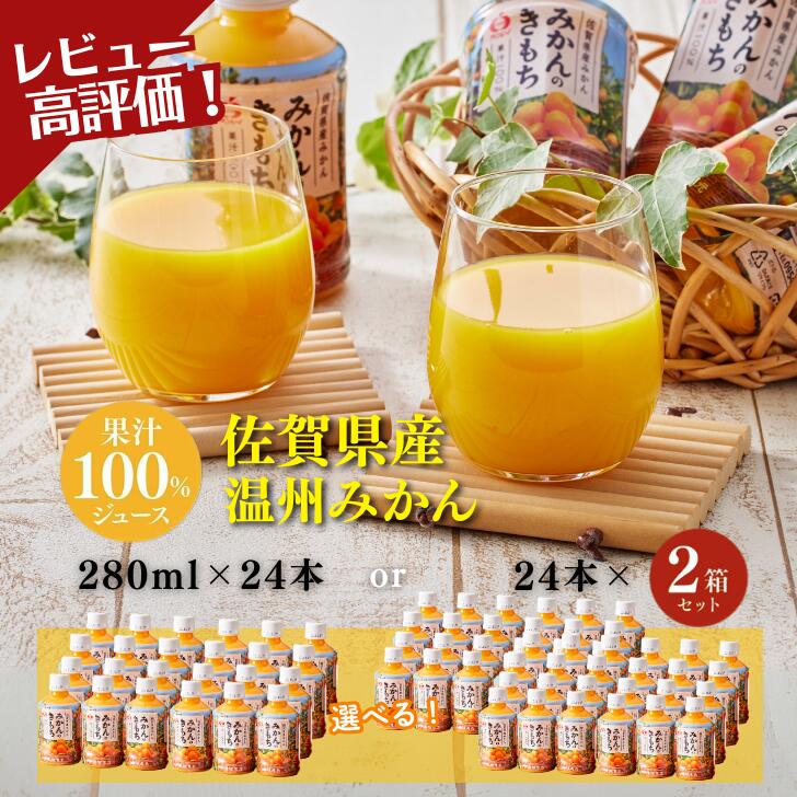 【ふるさと納税】みかんのきもち 280ml×24本入 選べる 1箱 or 2箱：B145-018