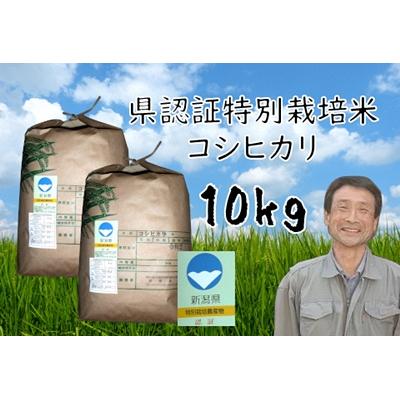ふるさと納税 阿賀野市 【令和8年産新米先行受付】新潟県認証 特別栽培米 コシヒカリ 10kg