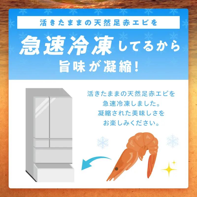 大阪府泉南市産 天然足赤エビ 600g【058D-007】