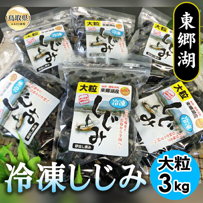【ふるさと納税】東郷湖冷凍しじみ（大粒） 3kg 鳥取県 おすすめ 黒いダイヤ 活しじみ 汽水湖 朝採れ 蜆 シジミ 貝_T2600035