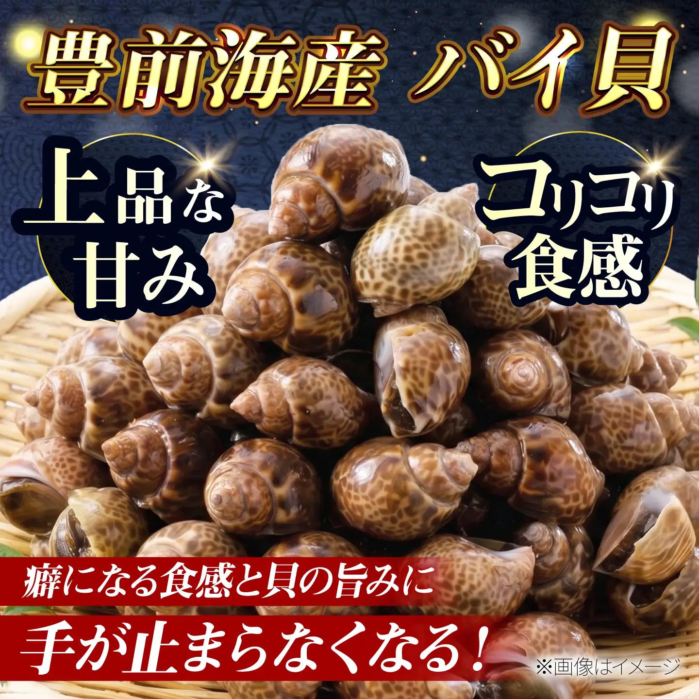 【先行予約】【2026年4月以降順次発送】豊前海産 バイ貝 1kg (20-35個前後) バイガイ 貝 カイ [ABCB004] 