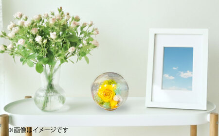 プリザーブドフラワー　ガラスドーム (黄色) / 花 プレゼント 贈答用 ガラス 母の日 父の日 入学式 卒業式 菊陽町 熊本県【株式会社 美向】[BHDC003]