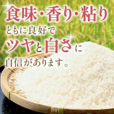 ふるさと納税 浜田市 【毎月定期便】石見産きぬむすめ 5kg全12回 |  | 01