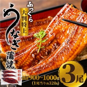ふっくら大判特上うなぎ蒲焼　計約900～1000g(約320g×3尾)【配送不可地域：離島】【1646345】