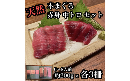 
貴重な天然本鮪 赤身 約200g 中トロ 約200g 各3柵ずつ 6〜8人前●赤身はマグロの中心部天身を使用！中とろの脂はくどくない上質な脂！【赤身 天身 惣菜 海鮮 お取り寄せ 御中元 お中元 お歳暮 父の日 母の日 贈り物 日本酒 焼酎】【神奈川県小田原市早川】
