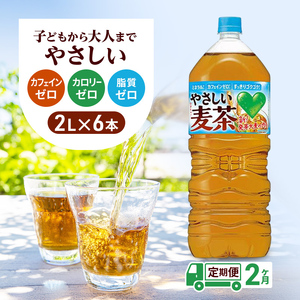 麦茶 定期便 2ヶ月 GREEN DA・KA・RA やさしい麦茶 2L×6本 ペットボトル 飲料 お茶 ペットボトル飲料 水分補給 カフェインゼロ やさしい味わい ノンカフェイン 飲み物 子供 大人 サントリー ストック 