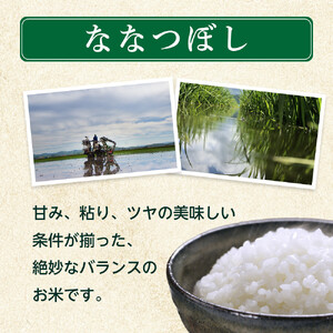 ZIP!で紹介！【定期便】令和7年産　ななつぼし 無洗米 真空パック 5kg×1袋　3ヶ月隔月発送 | ななつぼし 北海道 限定_05564