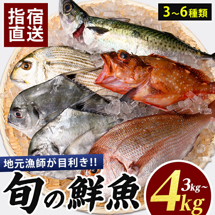 【ふるさと納税】【鮮魚】【指宿産直便】漁師が選ぶ季節の鮮魚便(3〜6種・合計3〜4kg) 魚 鮮魚 鮮魚ボックス お楽しみボックス 刺身 さしみ 刺し身 【指宿山川水産】