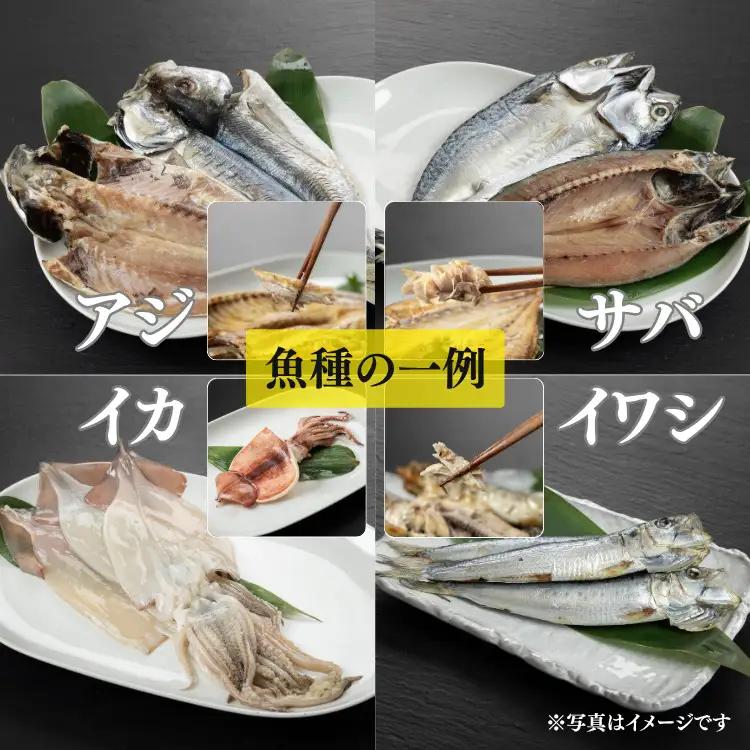 おまかせ訳あり干物セット（3～5種） 約2.0kg 富山 魚津 浜浦水産 自家用 家庭用【魚貝類・干物セット・干物・訳あり干物】
