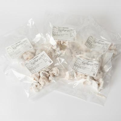 ふるさと納税 宮古市 スルメイカ軟骨唐揚げ100g×5パック(500g)
