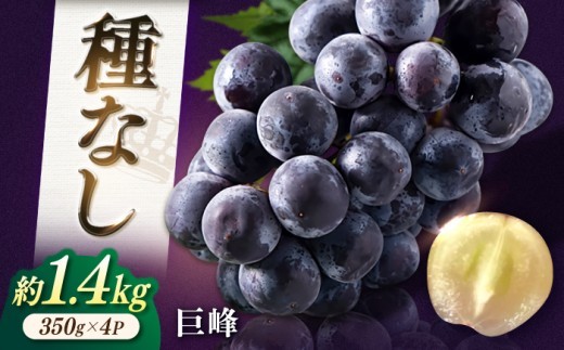 【★先行予約★ 2026年7月中旬以降発送】種なし巨峰  約1.4kg ふどう ブドウ 葡萄 巨峰 種なし フルーツ 果物 果実 くだもの 旬 産地直送 福岡 新鮮 冷蔵 広川町 / JAふくおか八女農産物直売所どろや [AFAB017]