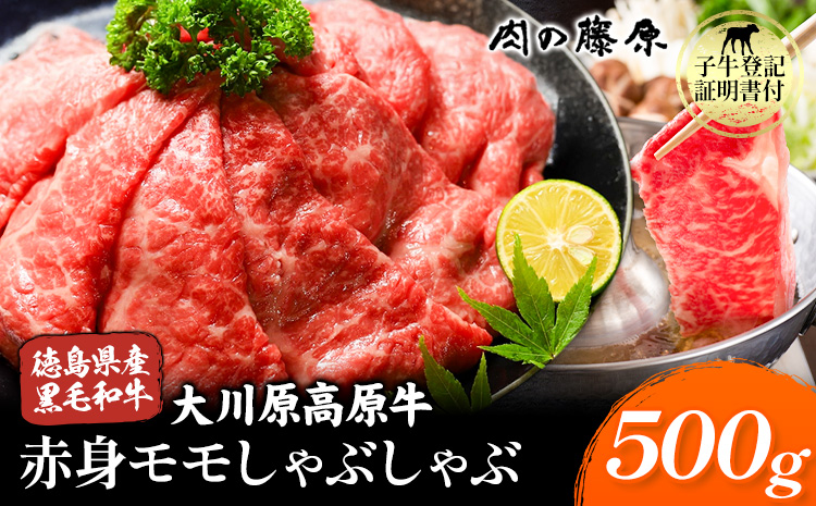 【年間10頭！】大川原高原牛 赤身モモしゃぶしゃぶ 500g 株式会社肉の藤原《30日以内に出荷予定(土日祝除く)》徳島県 佐那河内村 和牛 希少 佐那河内 さなごうち 大川原高原 牛肉 赤身 もも肉 贅沢 あっさり 冷しゃぶ ギフト 贈答 s-23
