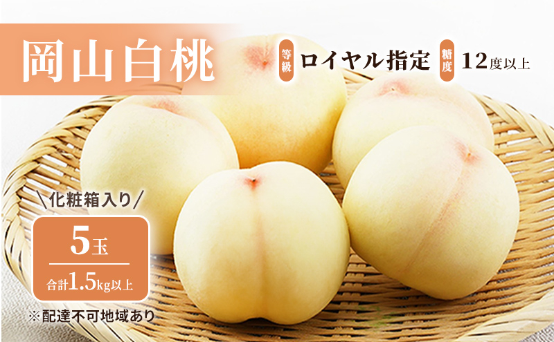 
                  桃 2024年 先行予約 岡山 白桃 5玉（1.5kg以上） 等級：ロイヤル指定／糖度：12度以上 化粧箱入り もも モモ 岡山県産 国産 フルーツ 果物 ギフト
                