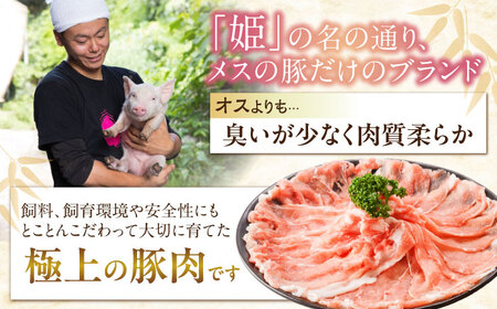 豚肉スペシャルセット約2,560g [BAER028] 豚肉