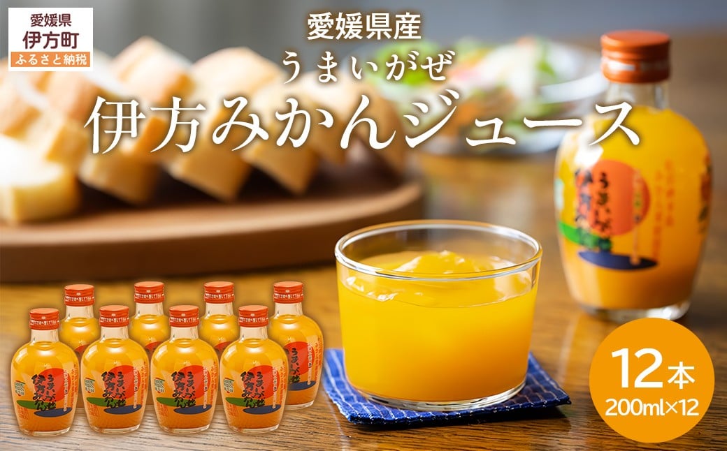 
            【先行予約】【愛媛県産】うまいがぜ伊方みかんジュース（200ml×12本） ストレート果汁100％ （2025年12月より順次発送） 【 ふるさと納税 人気 おすすめ ランキング みかん ミカン 蜜柑 ジュース みかんジュース ミカンジュース クリエイト伊方 愛媛県 伊方町 送料無料 】 IKTI006 
          