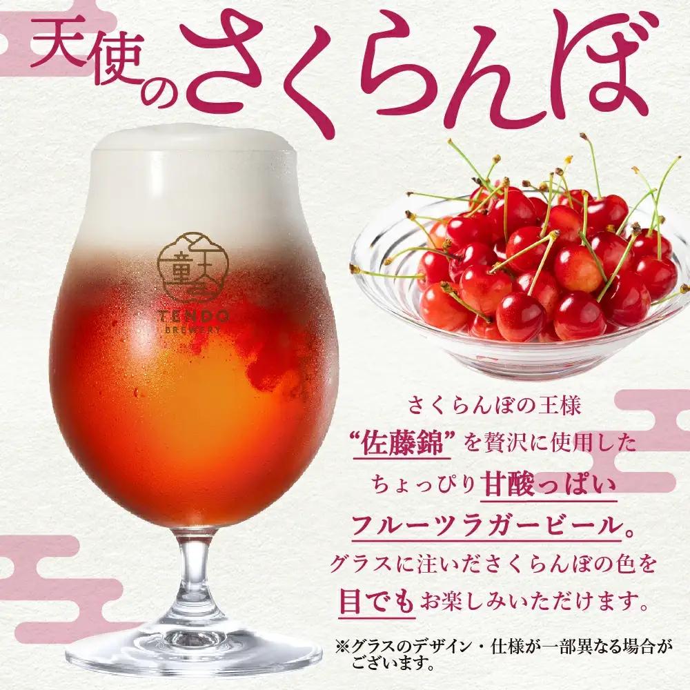 TENDO BREWERY クラフトビール 10本 セット グラス 付き