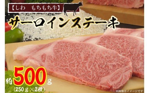 黒毛 和牛【しわ　もちもち牛】 サーロイン ステーキ 約500ｇ（250ｇ×2枚） (AM002 -1)