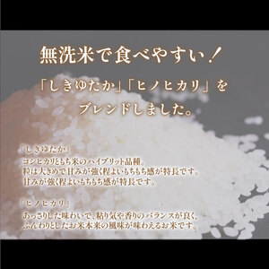 【令和7年産】 Wブレンド米 10kg 山口県産 米 下関 《内日三町：DZ》