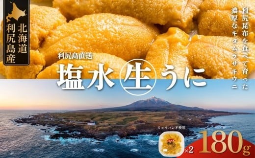 【2026年発送受付】利尻昆布育ちの天然生うに 塩水キタムラサキ 180g (90g×2p)｜北海道 朝獲れ 無添加 ミョウバン不使用 [1110004]