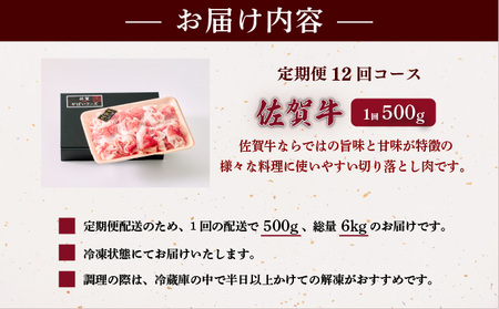 ＜定期便12回＞佐賀牛切り落とし 計6kg (500g×12回)