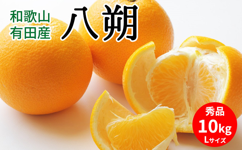 
                  【2027年先行予約】八朔 秀品 約10kg Lサイズ 和歌山県有田産【はっさく ハッサク 八朔 和歌山】_U6301
                