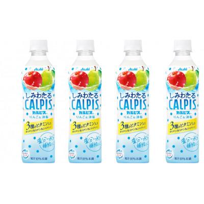 ふるさと納税 館林市 「しみわたるカルピス(R) りんご&amp;洋梨」PET 490ml×24本