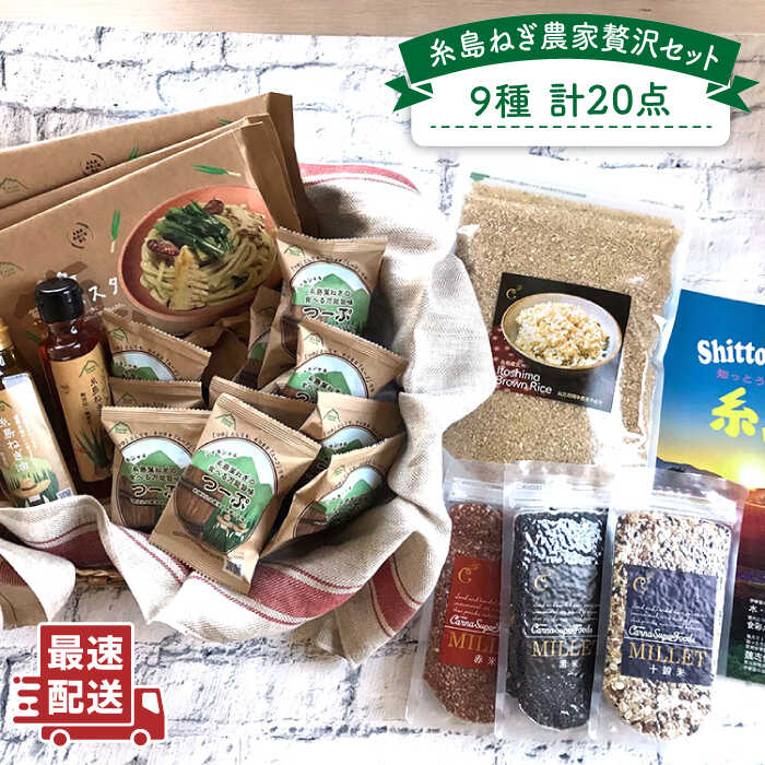 【ふるさと納税】糸島ねぎ農家贅沢9種20点セット 糸島市 / 株式会社Carna [ALA020] 44000円 常温