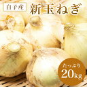 【ふるさと納税】【令和7年の先行予約】数量限定　白子産 新玉ねぎ 20kg ふるさと納税 たまねぎ 玉ねぎ 白子玉ねぎ スライス サラダ 健康 味噌汁 数量限定 令和7年発送 2025年発送千葉県 白子町 送料無料 SHAH001