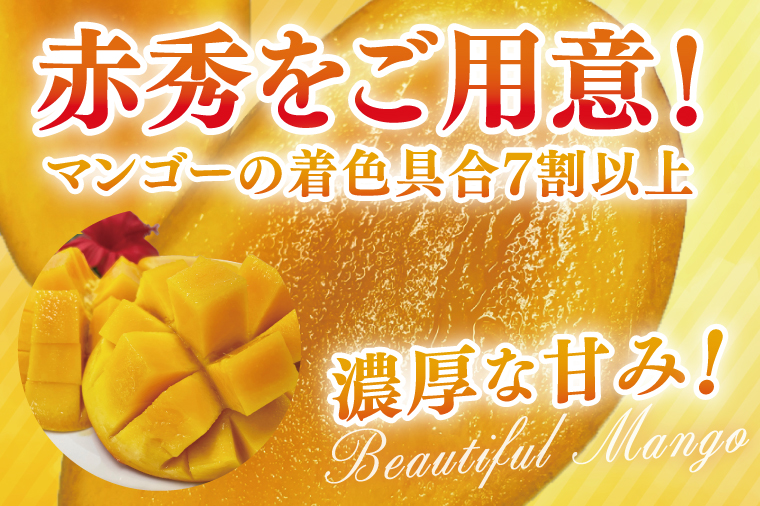 【2026年6月より順次発送】【先行予約】赤秀アーウィンマンゴー 3～4玉(約1.5kg)(化粧箱)｜沖縄県 豊見城市 マンゴー アーウィンマンゴー フルーツ 果物 くだもの おきなわマンゴー ギフト