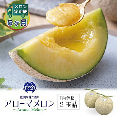 【ふるさと納税】【毎月定期便】アローマメロン(白等級) 2玉 全6回【配送不可地域：離島・北海道・沖縄県】【4013004】