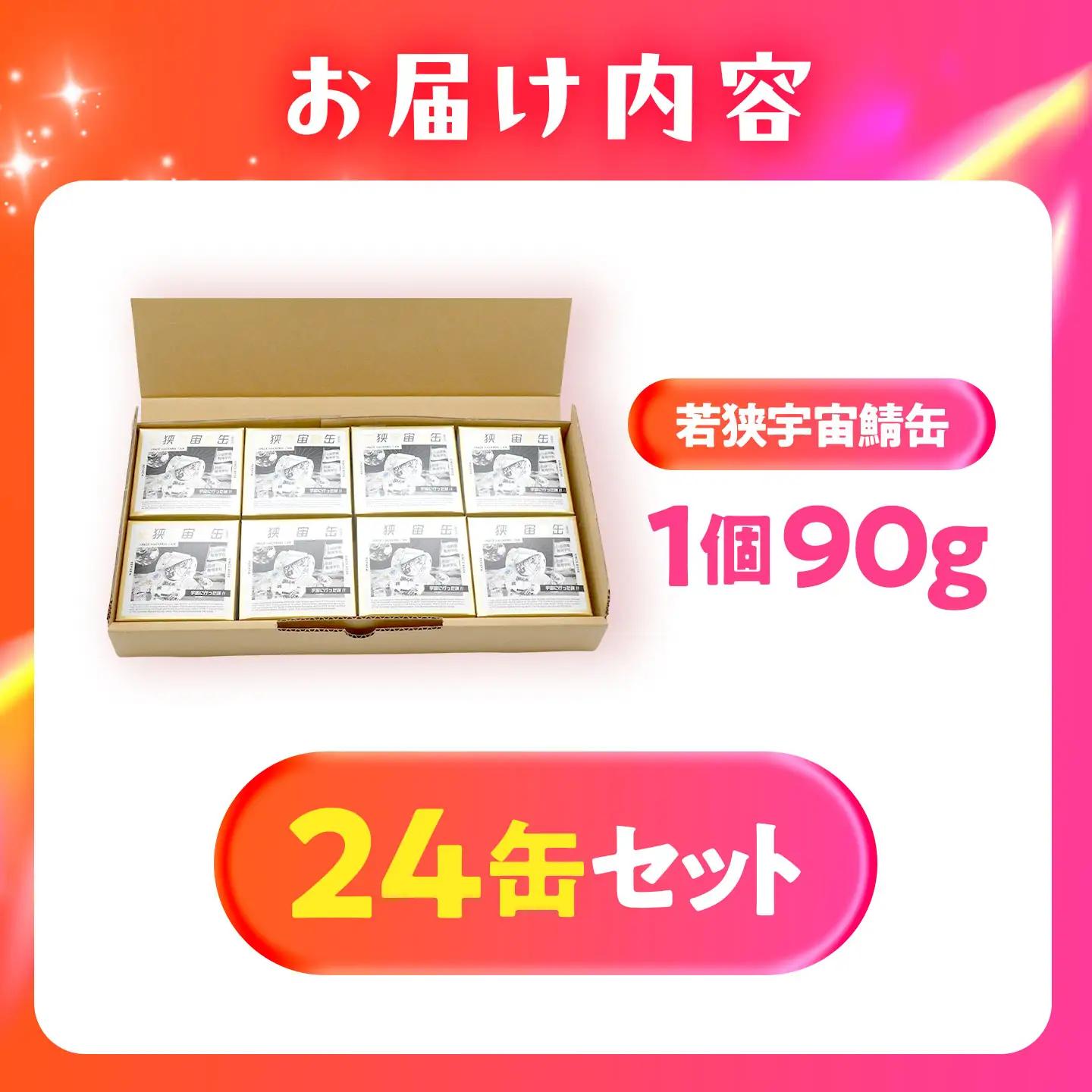 【宇宙鯖缶】若狭宇宙サバ缶 24缶セット / レシピ 鯖街道  サバ缶 さば缶 保存食 小浜市 / 福井缶詰[BFAB079]