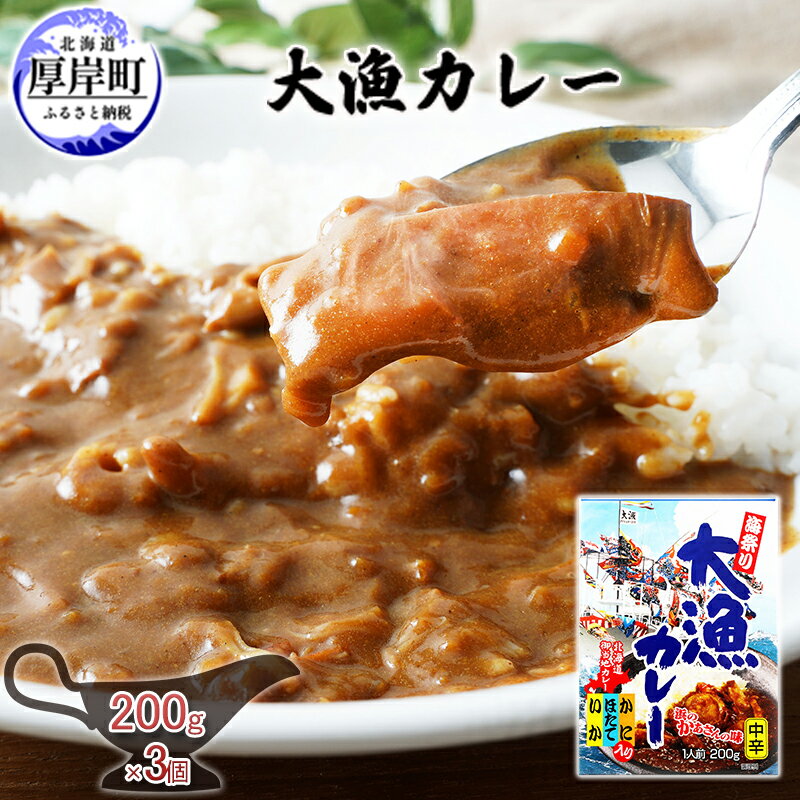 【ふるさと納税】大漁カレー 200g×3個 カレー レトルト