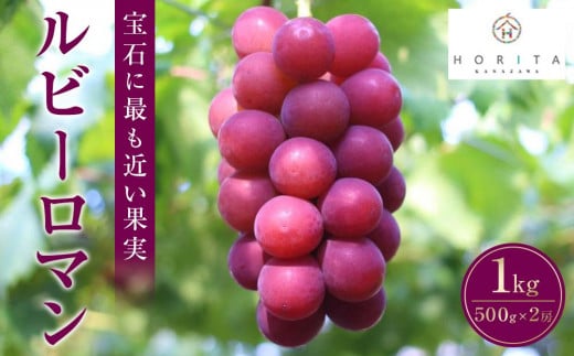 
            【2026年 先行予約】ルビーロマン 1kg（500g×2房） 葡萄 ぶどう ブドウ 高級 フルーツ 果物  石川 金沢 加賀百万石 加賀 百万石 北陸 北陸復興 北陸支援
          