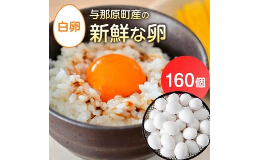 与那原町産の 新鮮 な 卵 160個 ( 白卵 )_ 生卵 たまご 玉子 鶏卵 まとめ買い 卵かけご飯 朝ごはん 玉子焼き 人気 美味しい 【1408730】