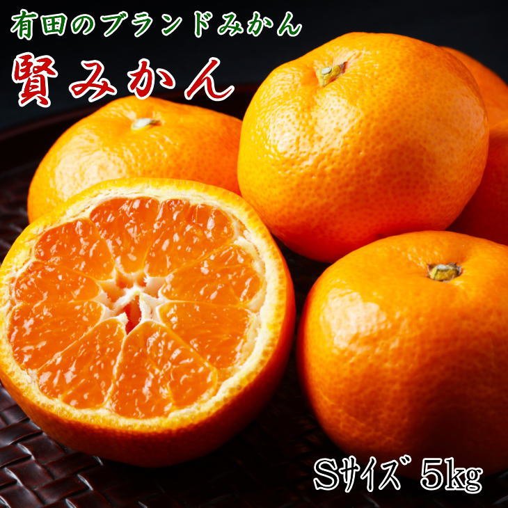【ふるさと納税】【秀品】 有田ブランド 賢みかん 5kg （Sサイズ） 【ミカン 蜜柑 柑橘 温州みかん 有田みかん】