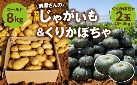 【2025年先行予約】前原さんの特選じゃがいもゴールド8kg＆春かぼちゃ（くりゆたか）2玉 C062-T04 じゃがいも ゴールド かぼちゃ 南瓜 先行予約 先行受付 予約 特選ジャガイモ 野菜 やさい パンプキン 栗かぼちゃ くりゆたか 春かぼちゃ ほくほく 甘味 煮物 お菓子 スイーツ ポタージュ カレー スナップ牧場 ふるさと納税 知名町 おすすめ ランキング プレゼント ギフト