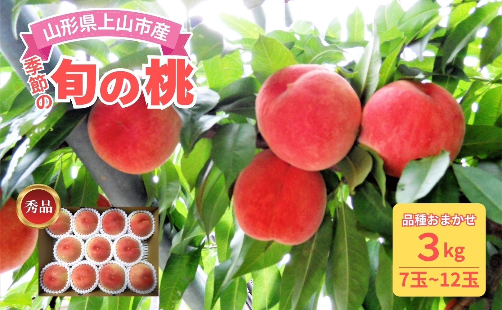 
                  山形の旬の桃（品種おまかせ）３ｋｇ　0017-2603
                