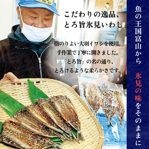 天皇杯受賞！「とろ旨氷見いわし」5袋セット 富山県 氷見市 みりん干し イワシ 鰯 農林水産大臣賞 主婦大賞 無添加