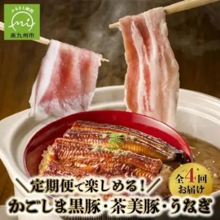 【発送月固定定期便】かごしま黒豚・茶美豚・うなぎ定期便全4回【配送不可地域：離島】【4088564】