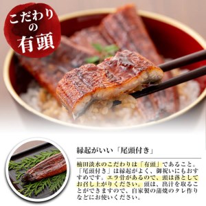 極うなぎ蒲焼110g以上×4尾(計440g以上)+福茶100g うなぎ 鰻 ウナギ 蒲焼 4尾 真空パック 鰻重 うな丼 一番茶 緑茶 冷凍 お茶 有頭 セット b3-007