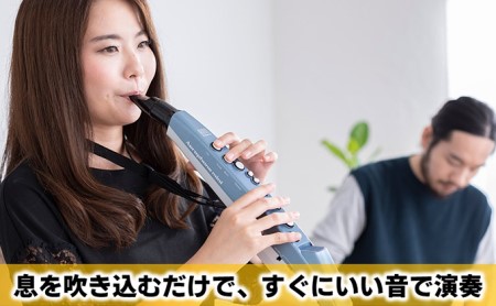 シンセサイザー エアロフォンミニ 楽器 シンセサイザー
