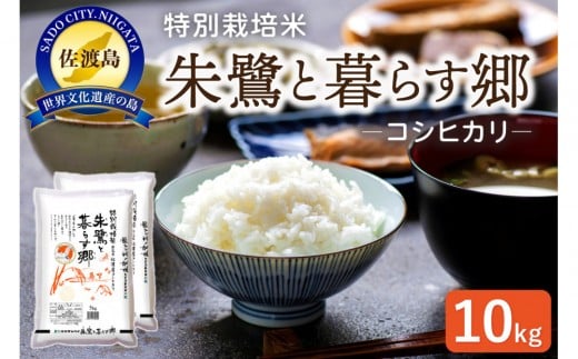 佐渡産コシヒカリ 朱鷺と暮らす郷（10kg（5kg×2））
